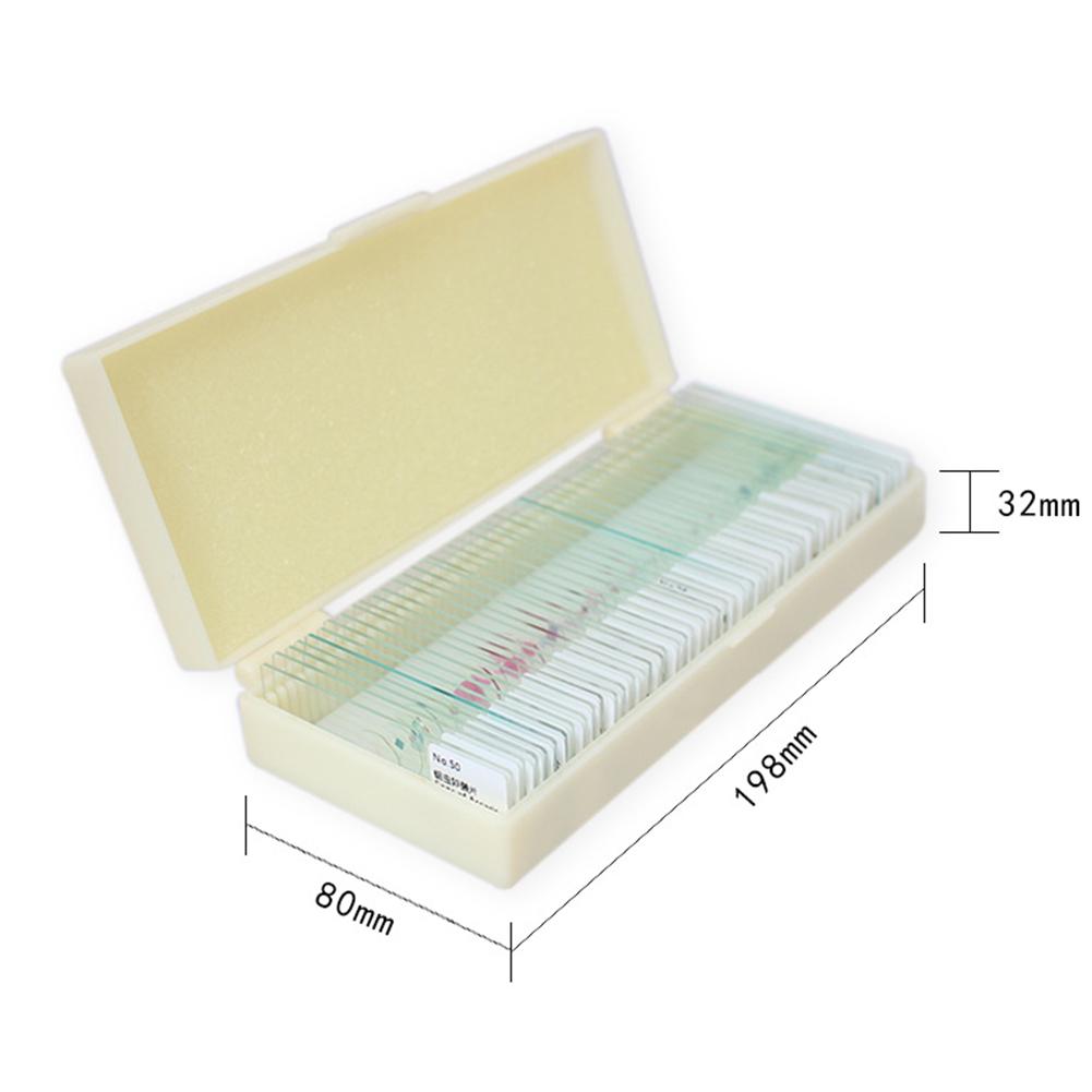 Детские микропрепараты для микроскопа, аксессуары для микроскопа, стеклянные препараты