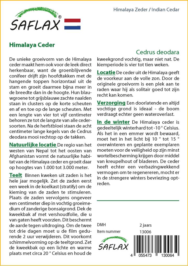 SAFLAX Кедр индийский - 35 семян - Cedrus deodara