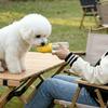 Leakproof Dog Water Bottle Large Capacity Pet Water Cup Pet Supplies Dog Outing Kettle  Hiking