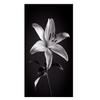 Черно-белые цветы лилии Diy 5d Алмазная картина Наборы для вышивки крестом Алмазная вышивка Натюрморт Растение 3d Большое искусство