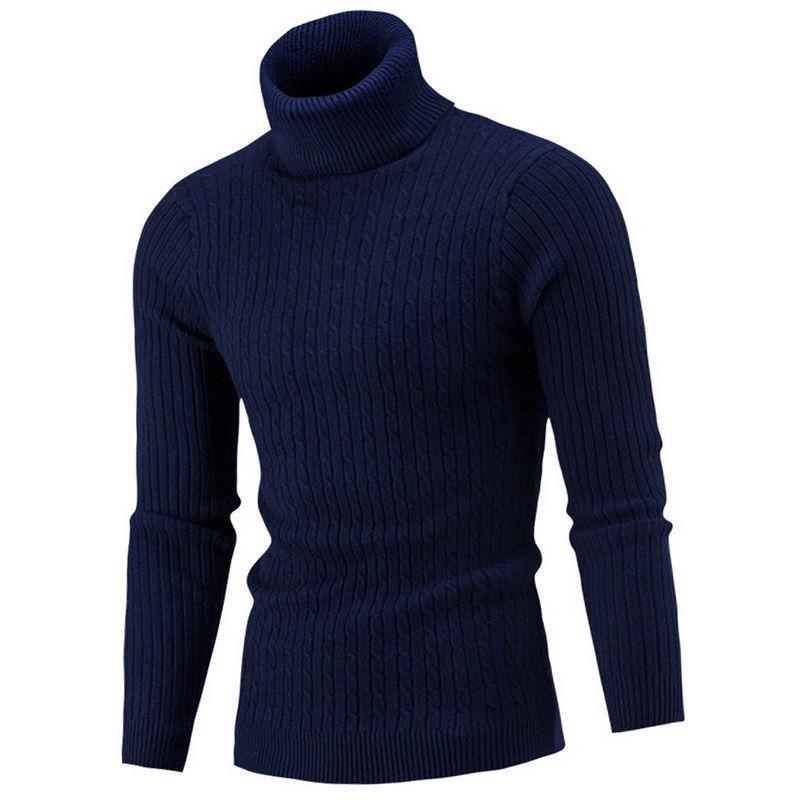 Men Slim Fit Twisted Pattern Turtleneck Knit Sweater For Autumn Winter