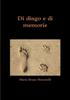 The Di Dingo E Di Memorie Book