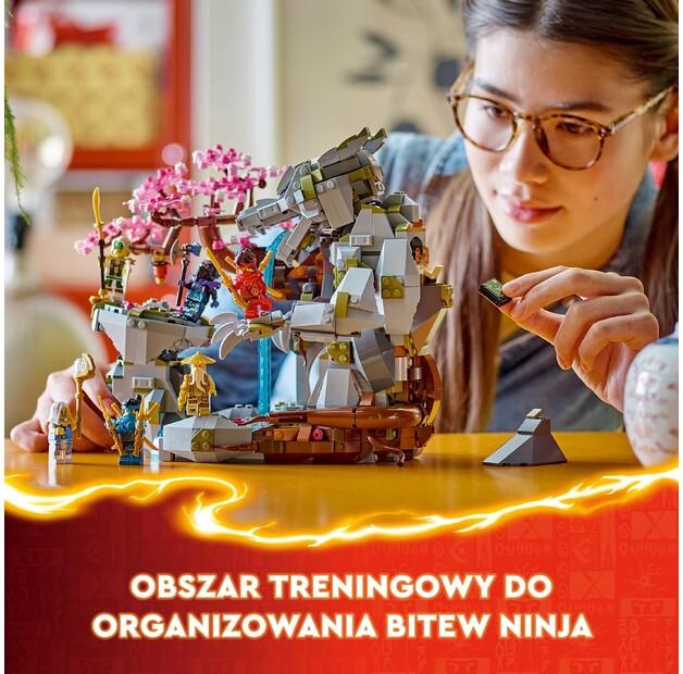 LEGO Ninjago 71819 Храм Драконьего Камня