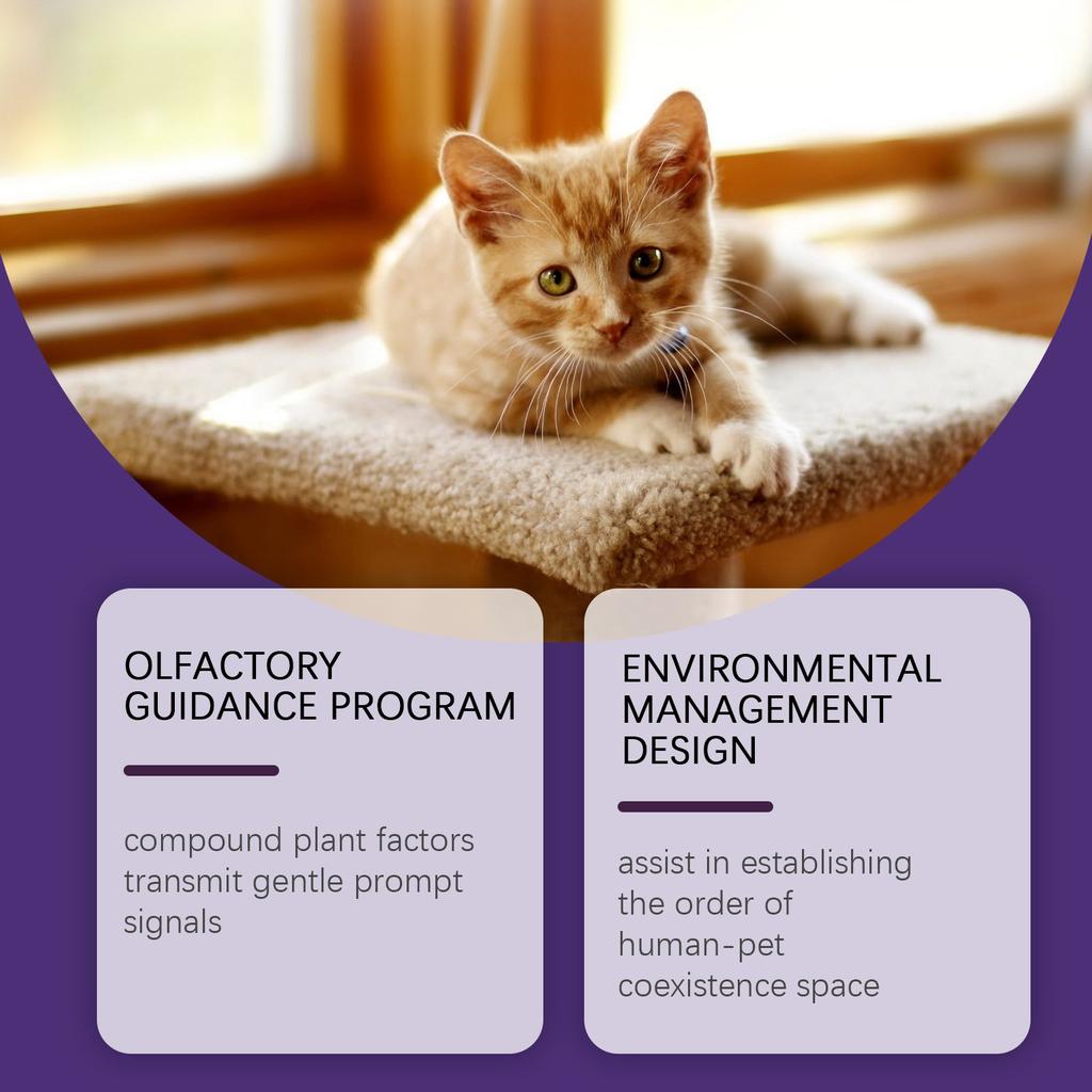 Pet Environment Management Spray Furniture Behavior Guidance Multi-scene Applicable Non-irritating 120ML