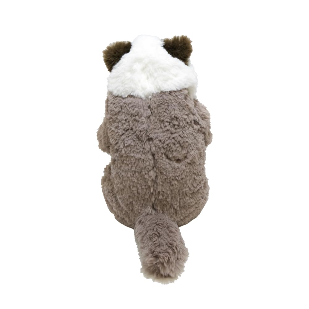 Солнечный Лимон Спящий Лап Маленькая Тряпичная Кукла 15 x 12 x Плюшевый Милый Кот, GYBR, 34см, Животное, Кот, P-1583