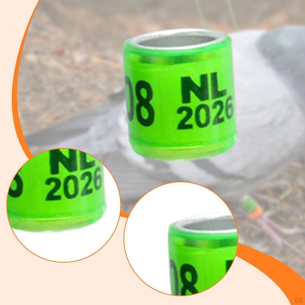 100 Алюминиевых идентификационных колец для голубей, горлиц, канареек, неразлучников и перепелов (2026).