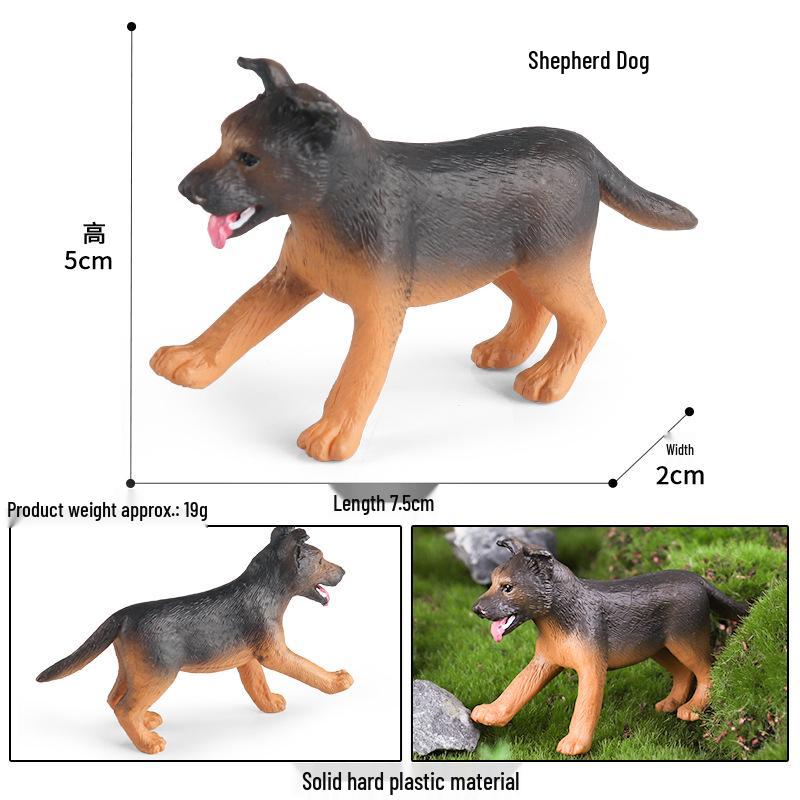 Cute Animal Models: Japanese Raccoon, Flying Squirrel, Monkey, Rabbit, Squirrel, Shiba Inu, Tiger, Lion, Lizard Toy Set