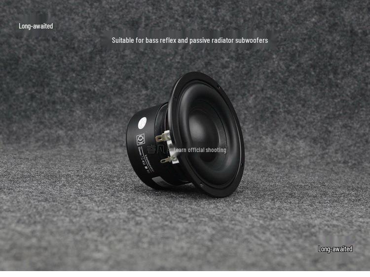 4" HiFi Subwoofer with Long Stroke & Deep Bass