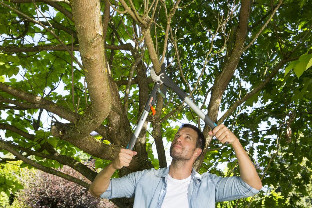 GARDENA Branch Cutting Thick Branch Cutting Cutting Diameter Anvil Ratchet Grass Branch Garden SmartCut Made In Up To 25 Years Product Up To 25 Years