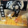 Акриловый баннер Haikyu Kageyama
