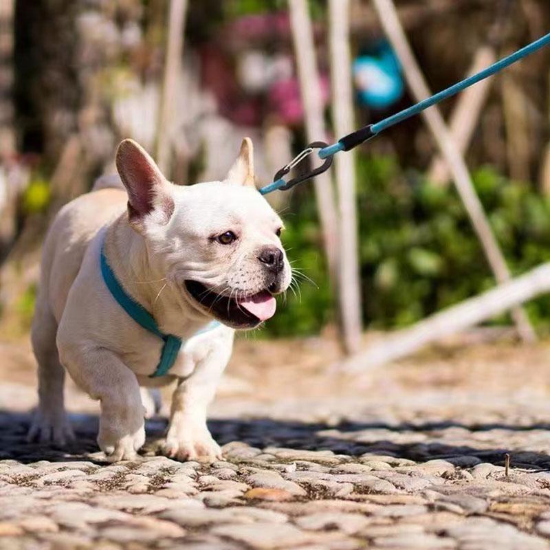 12 шт. набор карабинов, туристические маленькие крючки, уличная рыбалка, кемпинг, клипса, велосипедный туризм, многофункциональный инструмент, брелок с пряжкой, карабины