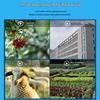 Lefit CG17 4G Solar PTZ Security Camera (CN version)