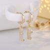 New Earrings Cat-eye Dianthus Ear Buckles Fashionable Temperament Versatile Earrings for Women