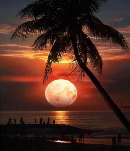 RUOPOTY Paint By Numbers Moon Wall Art Unique Gift DIY Frame Hand Painted Picture By Numbers Landscape For Living Room