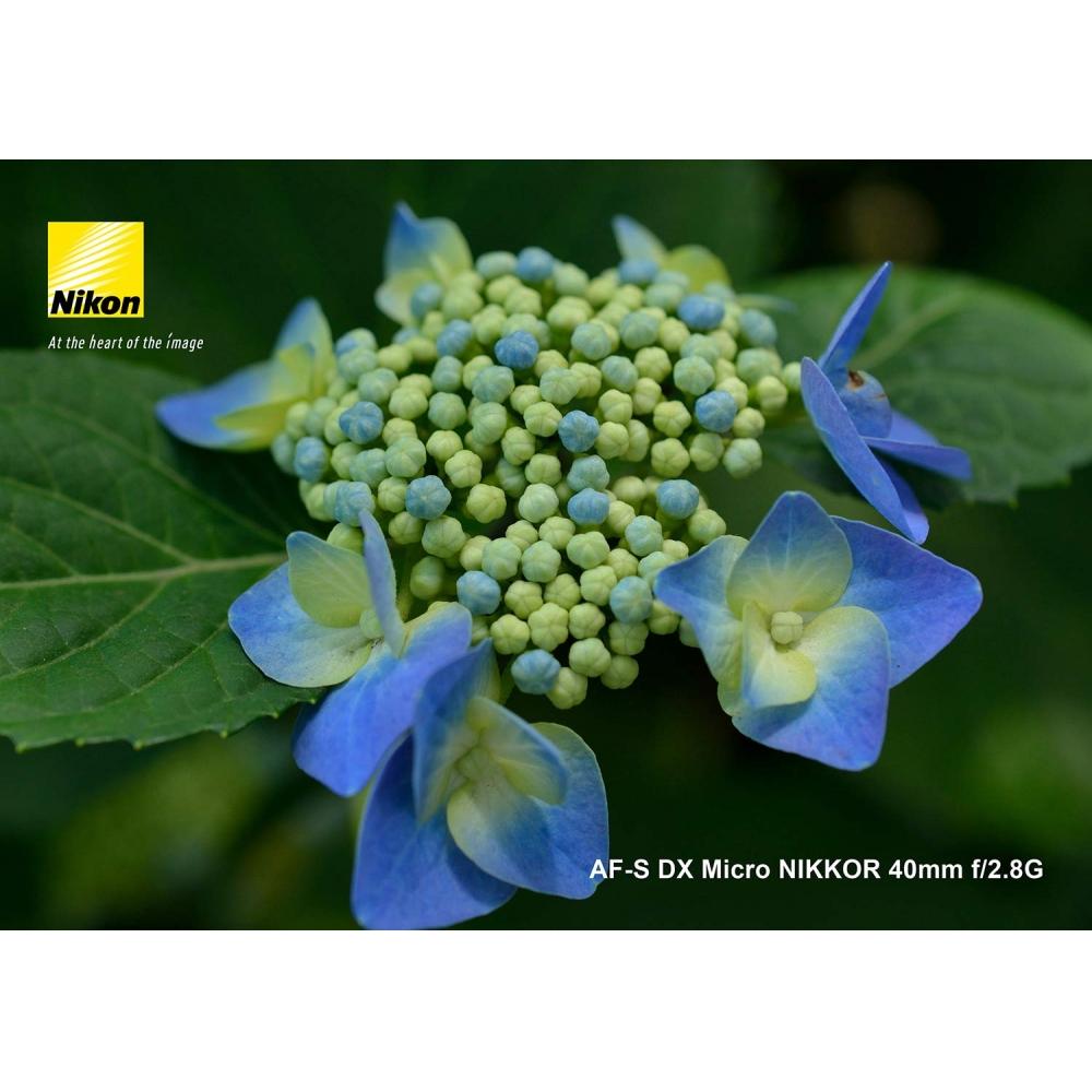 Nikon Single Focus Micro Lens AF-S DX Micro NIKKOR 40mm f2.8G for Nikon DX Format Only