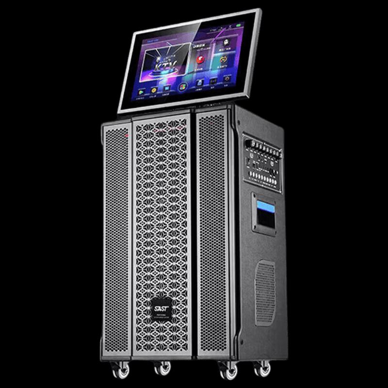 SAST Portable Karaoke System with Display (CN version)