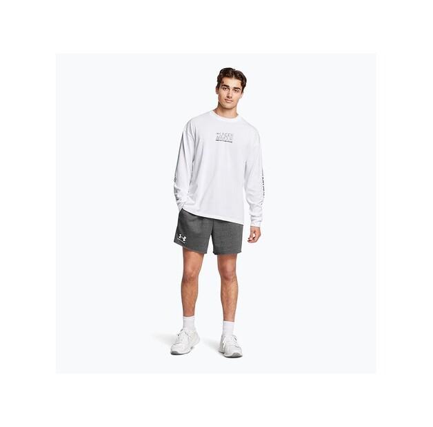 Спортивные шорты Under Armour 1382427-025
