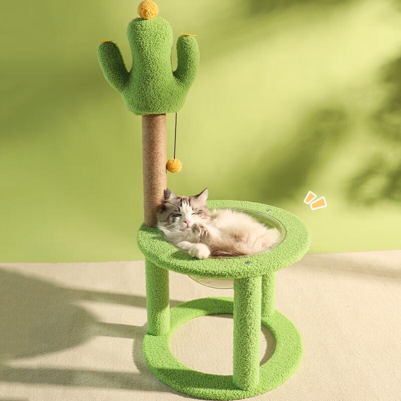 Cactus Cat Tree & Scratcher with Space Capsule