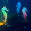 Simulated Luminous Seahorse Fish Tank Decoration, Fake Fish Ornaments, Aquarium Ocean Floor Decoration