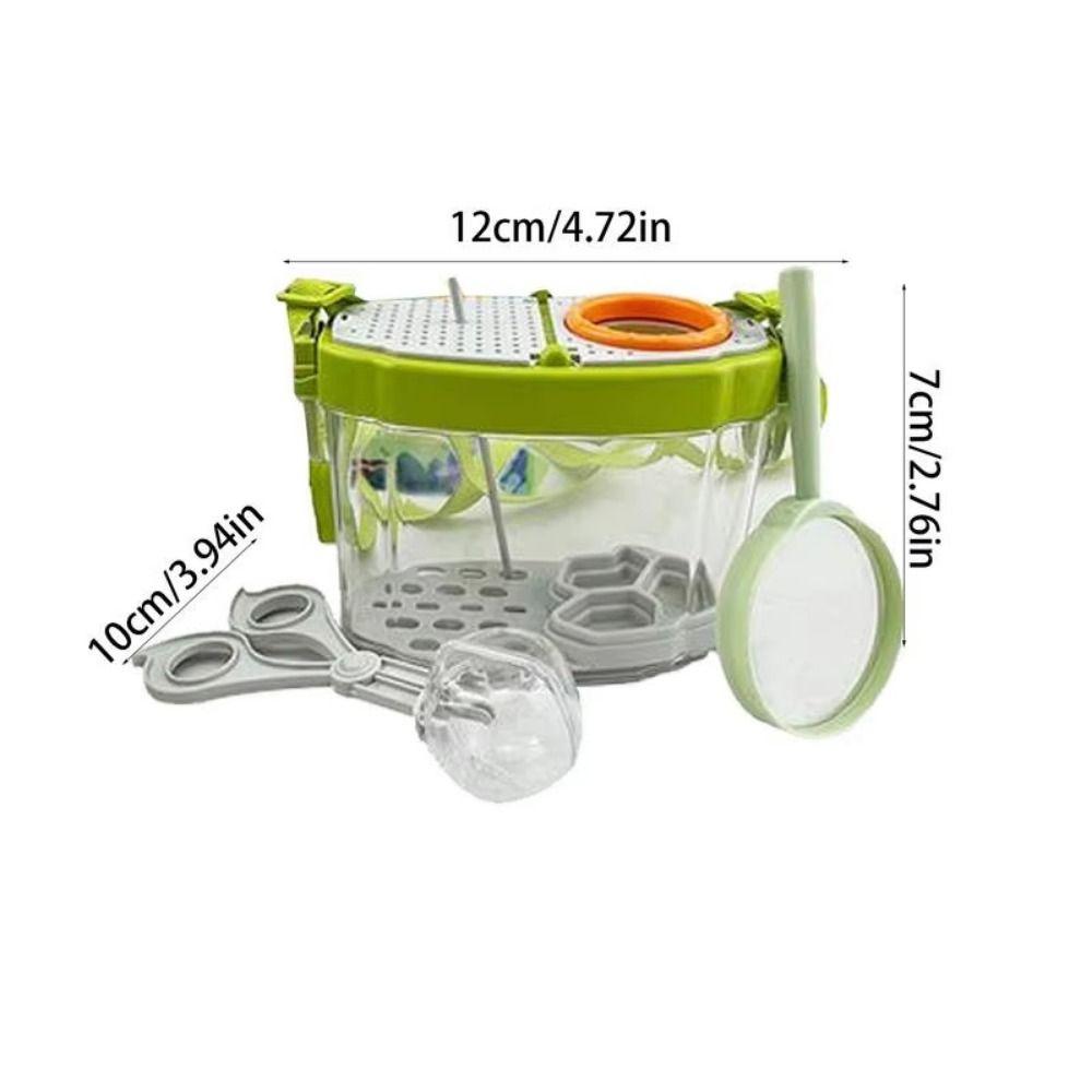 Breathable Insect Observation Box Kit Adjustable Straps Insect Feeding Bin  Snails