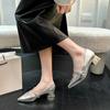 Fashion Pointed Toe Women Shoes 2025 Spring New Silver Mary Jane Shoes Comfortable Low Heel Dress Shoes Simple Versatile Women's Pumps