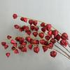 Искусственные цветы 83 см Искусственные ветки кокосового ореха Реалистичные Настоящие на ощупь Фонарь Фруктовая ветка Ручная работа Искусственные растения Для помещений и улицы