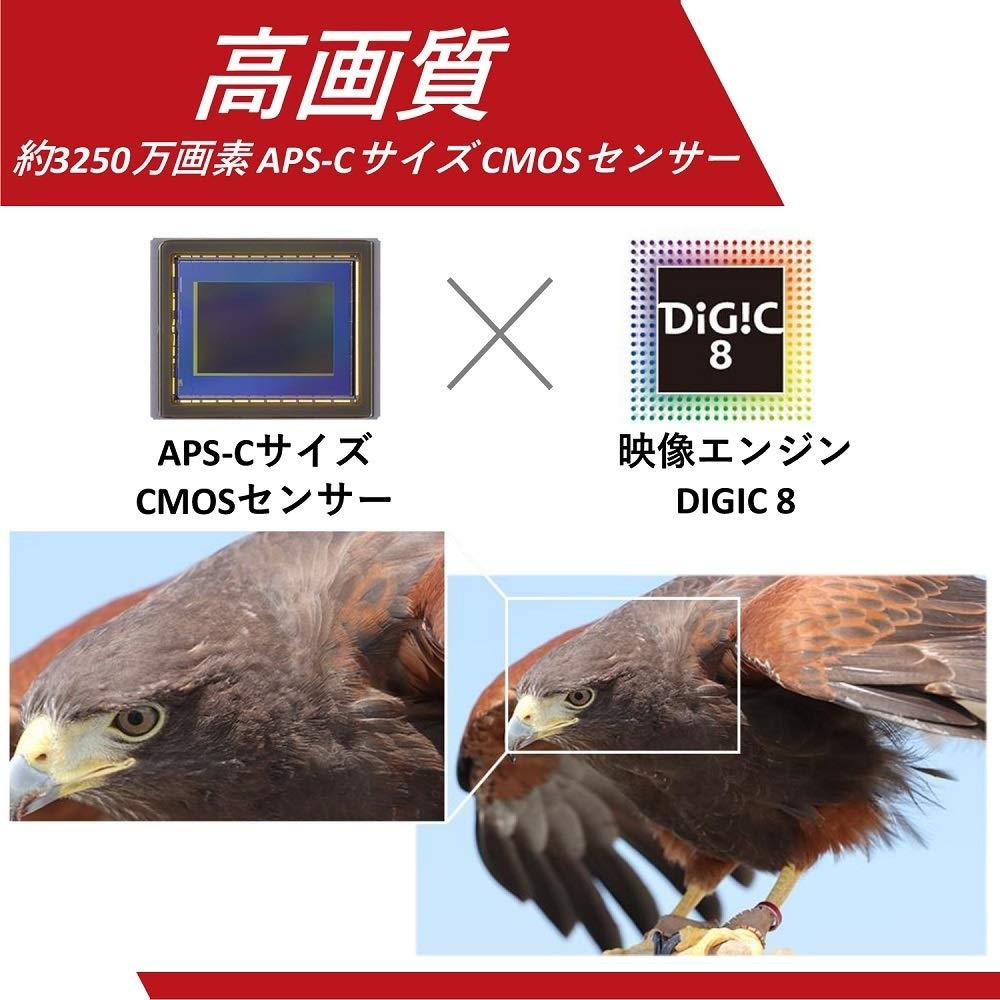 Canon Цифровая зеркальная фотокамера EOS 90D body EOS90D