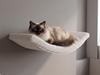 Arc Metal Cat Shelf 75cm Light Silver Grey