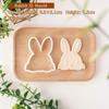 Пластиковая форма для печенья DIY Штампы для печенья Штамп для печенья Серия Пасха Штампы для печенья Кухонные DIY Аксессуары для выпечки