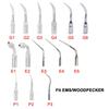 5 Pcs Dental Ultrasonic Scaler Tip Fit EMS WOODPECKER Scaler And DTE SATELEC G1-G6 E1-E5 P1 P3 P4 GD1-GD6  PD1 PD3 PD4 ED1 ED2