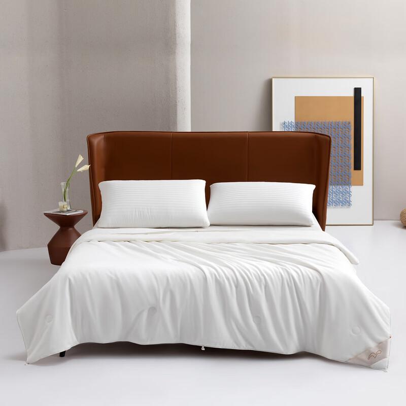 Mercury Home Textiles Antibacterial Mulberry Silk Duvet