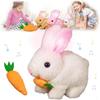 with Sounds and Movements Plush Bunny Doll Easter Rabbit Vitality Bliss Bunny  Easter