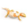 Simulation Reptile Animals Figures Miniature Gecko Figure Lizard Model Figurines  Birthday Gift