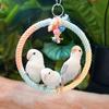 Paw Grinding Parrot Hanging Clip Colored Parrot Standing Stick Parrot Birds Cage Toy  Training Toys