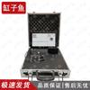 Gangaoyu Sports Fitness Assessment System
