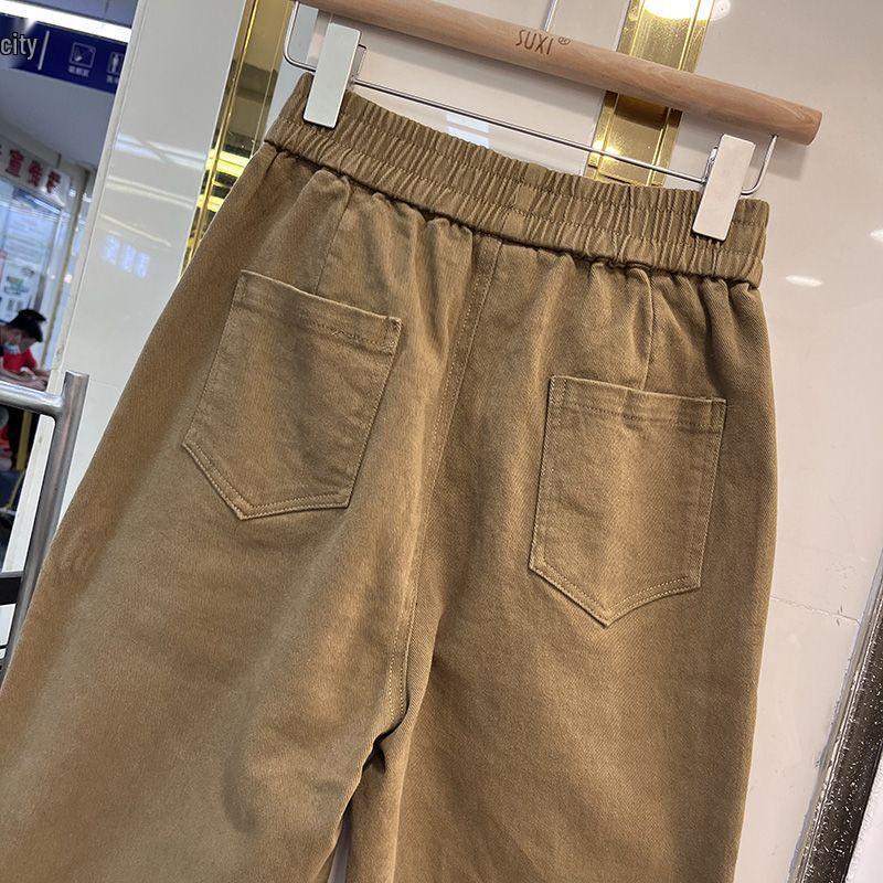 Женские брюки гаремы в корейском стиле с флисовой подкладкой - Осень/Зима, Универсальные, Модные, Свободные, Стройнящие, Утепленные повседневные длинные брюки.