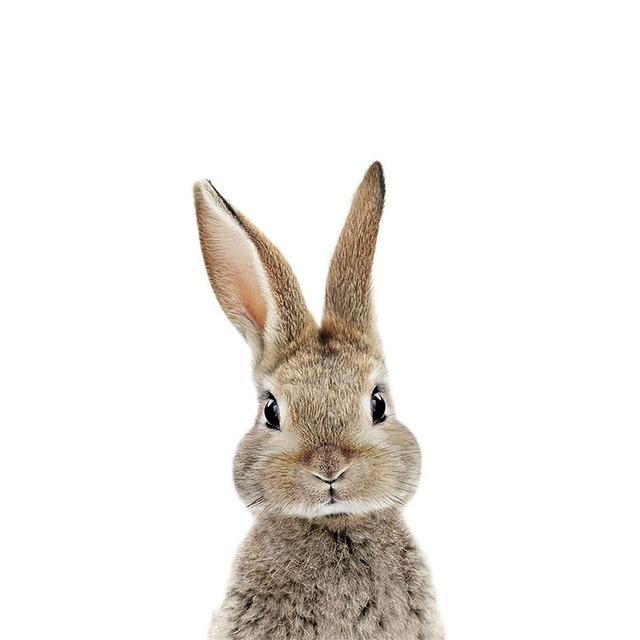 Забавные Милые Кролики Виниловые Наклейки на Автомобиль - Водонепроницаемые и Долговечные