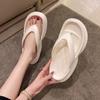Women's Slippers and Ladies Sandals Shoes with Heel Summer 2024 Thick Flip Flops Slides Platform On Beach New Style 39 Wholesale