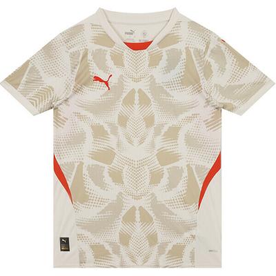 Puma Форма вратаря
