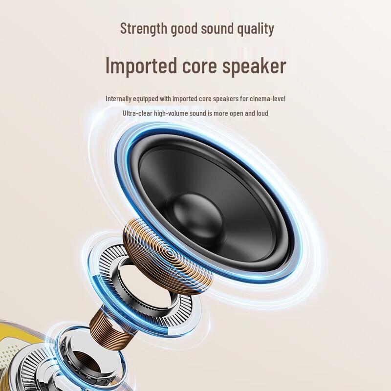 Shanshui V1 Wireless Bluetooth Karaoke Speaker Set