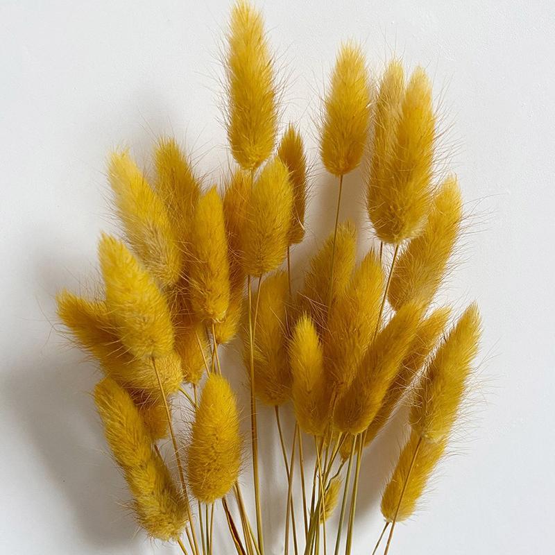 50 шт., букет из сухоцветов с изображением кролика и хвоста кролика, декор для свадебной вечеринки, пушистые пампасы, рождественская цветочная композиция своими руками