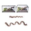 Reptile Habitats Decoration Terrarium Natural Rattan Climbing Branch Resting Shelter Vine for Snake Bearded Dragon