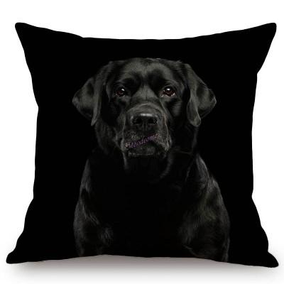 Black Background Dog Puppy Portrait Vizsla Husky Shepherd Shibu Cute Sofa Pillow Case Home Decorative Cotton Linen Cushion Cover