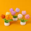 DIY Craft Tulip Handmade Flowers Finished Handmade Woven Flower Potted Office