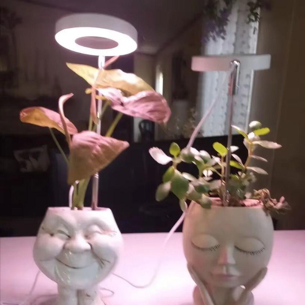 Adjustable Height LED Plant Grow Light 1/2/3/4 Head Ceiling Grow Ring Lamp  Succulent