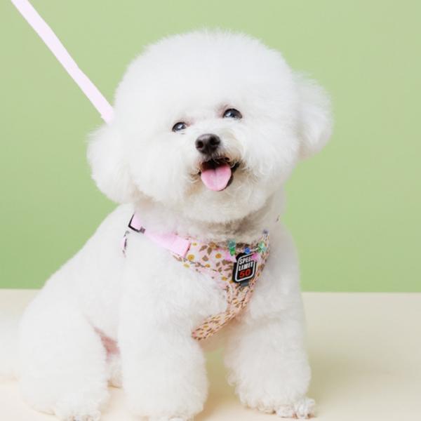 Сумка для владельца, одежда для собак, комплект нагрудных ремней, бронза