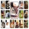 Чехол для телефона с белкой, морской свинкой, для vivo Y31 Y30 Y33S Y11S Y12S Y17 Y20 Y20S Y21 Y21S Y1S Y53S Y15 Y19 Y91C V23 5G, чехол