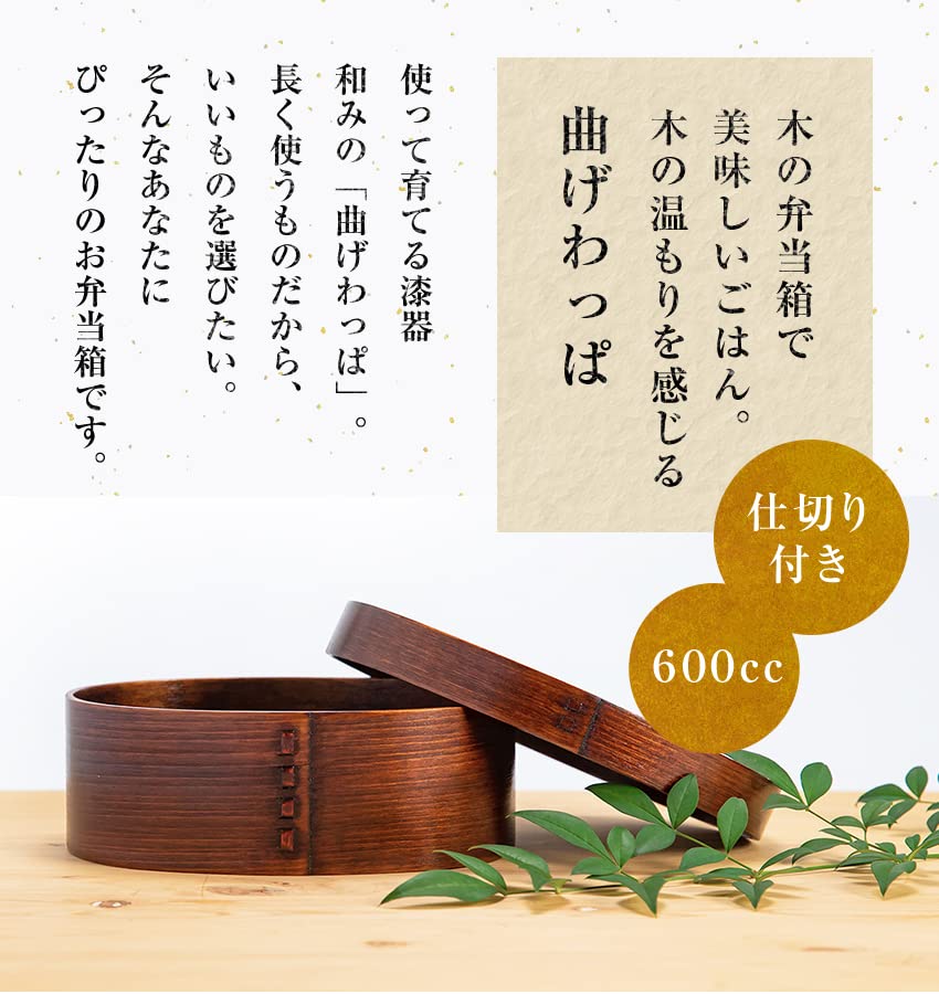 Osaka Choseido Magewappa Bento Single Lunch Bonus Beige Band Box, Oval, Tier, Divided, Band, Included, Large, 600cc,