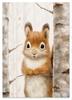 Постер для ребенка белка