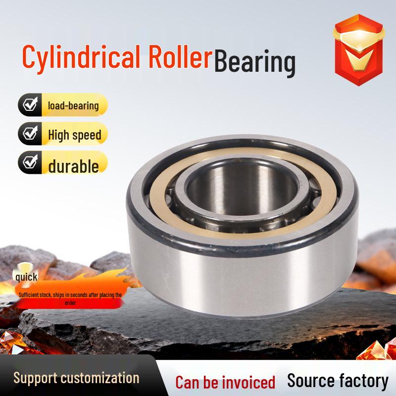 Cylindrical Roller Bearings: NU2311/NU2312/NU2314/NU2316/NU2317EM - Steel Mill Motor Bearings